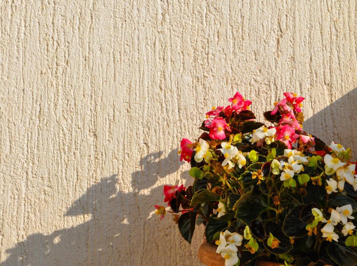 Apartman Anita Buzet Esterno foto
